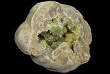 Yellow Crystal Filled Septarian Geode - Utah #98390-2